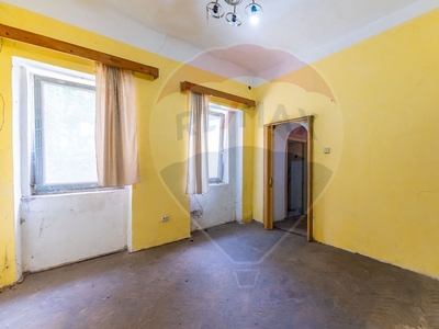 Apartament 1 camera vanzare in casă vilă Arad, Ultracentral