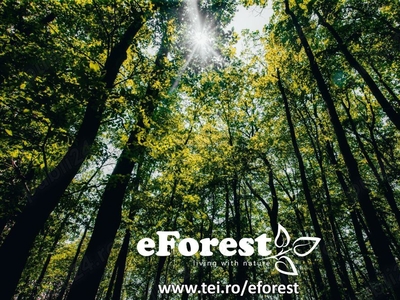 eForest 2 , terenuri la padure, la 25 de minute de Bucuresti