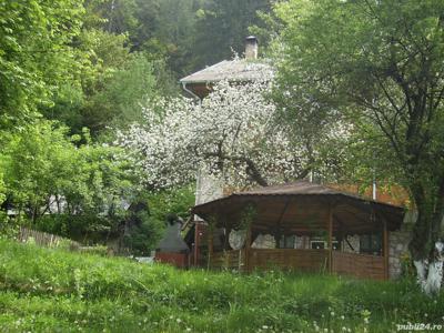 Casă mare (fostă pensiune), în spatele Mănăstirii Bistrița, la 7 km de Piatra-Neamț