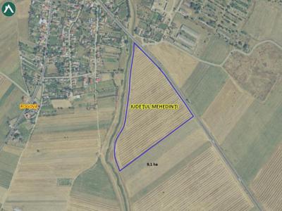 Vand doua terenuri agricole arabile (9,1 ha si 10,44 ha), Rogova, Mehedinti.