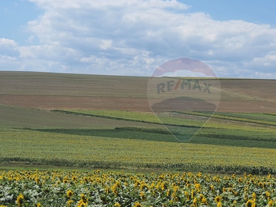 Teren Agricol, Extravilan vanzare, in Neamt, Gura Vaii