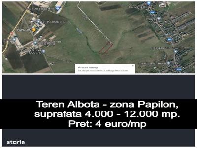 Teren Albota - Papilon 4.000-12.000mp