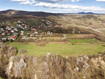 23.345 SQM - Exclusive Estate - Mountain Plateau | Jud. Prahova - Valea Prahovei