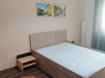 Apartament, 1 camera decomandat, 35 mp, Valea Adanca, de inchiriat, Pepinierii - La doi pasi, Cod 155811