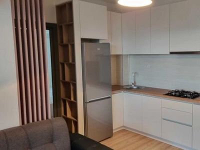 Centru apartament 65 mp, 3 camere, open-space, de inchiriat, Palas Mall - Amazon, Cod 155779