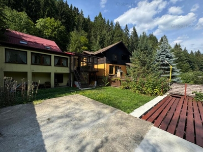 Sinaia - Prahova Valley | Mountain Villa - River Terrace | Carpathian Mountains