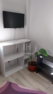 Apartament 2 camere, decomandat, 2 bai, PET FRIENDLY, curte, IRIS