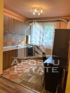 Apartament 2 camere Torontalului, centrala termica, loc parcare