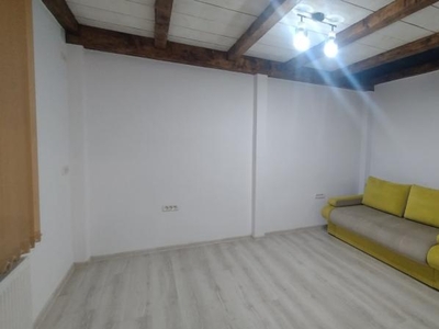 Apartament cu o camera pe 2 niveluri de vanzare in Timisoara - Zona Iosefin