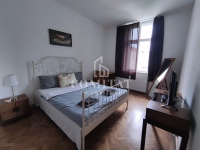 Apartament pet-friendly | Zona centrala | Calea Motilor | UMF