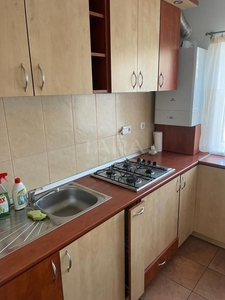 Investitie apartament 1 camera,zona Buna ziua