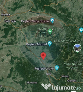 Teren 2,721 mp de vânzare în Livada Beiușului