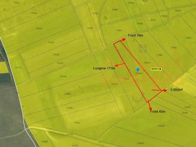 Teren de vanzare intravilan 5.800mp Chinteni