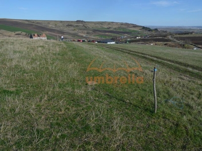 Teren extravilan - pozitie ideala pentru parc fotovoltaic