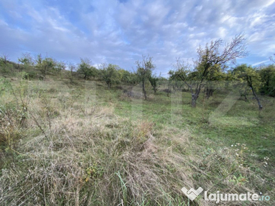 Teren intravilan in zona Sarmas in suprafata de 750 mp