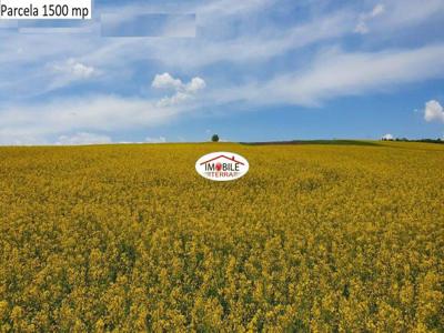 Teren agricol de vanzare in Hamba Sibiu, 4 parcele