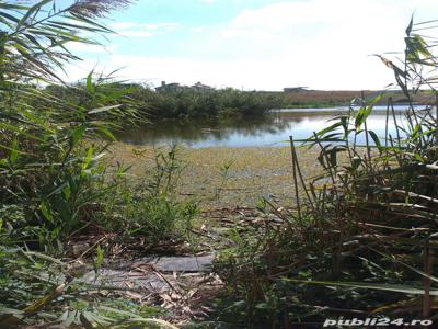 Vanzare teren intravilan cu iesire la lacul Snagov, Tancabesti