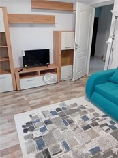 Apartament 1 Camera Valea Adanca - 300 euro