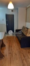 Apartament 2 camere Nicolina- 340 euro