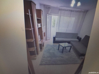 apartament 2 camere teiul doamnei