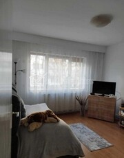 Apartament cu 2 camere Intre Lacuri -Iulius Mall, et.1, parcare