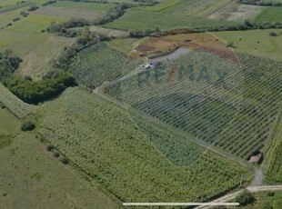 Teren Agricol, Extravilan vanzare, in Maramures, Bozanta Mica