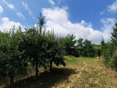 Teren cu livada pretabil pentru constructie sau parcelare in Valea Calugareasca