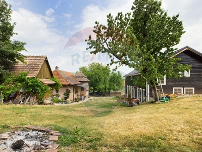 Casa / Vila de vanzare | Casa de vacanta | Agroturism