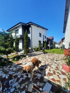 Casa vila de inchiriat vanzare Ghimbav