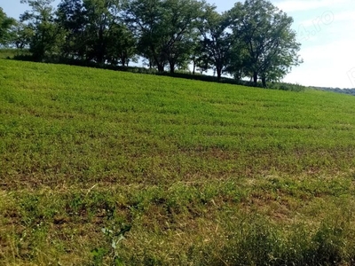 Teren agricol lângă Cluj-Napoca