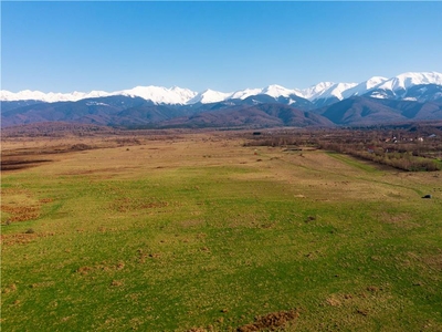 Teren Intravilan 10 ha - Valea Avrigului