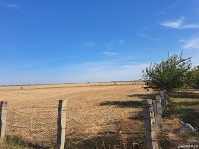 Vând teren în comuna Surdila Geci ,jud Braila