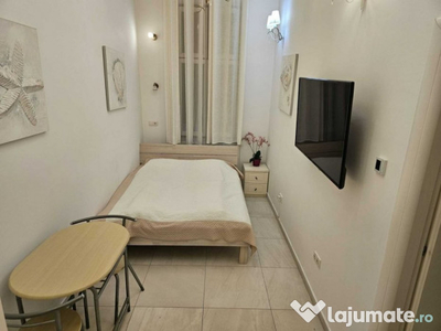 Apartament 1 camera in Centru zona Avram Iancu