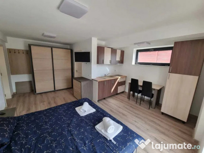 Apartament 1 cameră, Bucium, Bulevardul Socola