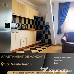 Apartament la mansardă, Vasile Aaron