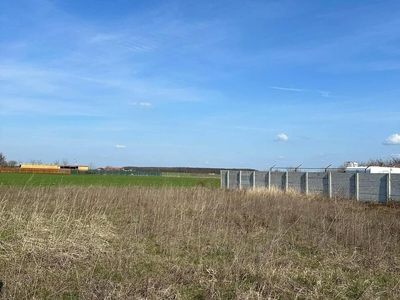 Teren Berceni Comuna, de vanzare teren intravilan in comuna B