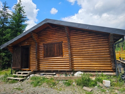 Teren Obarsia Lotrului, partia de ski Transalpina