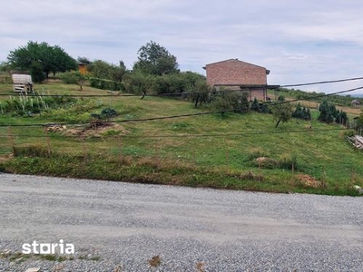 Casa individuala cu 5 camere, 6 ari teren, zona Passa Tempo