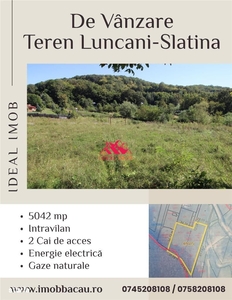 Oportunitate Investitie Teren Luncani - Slatina