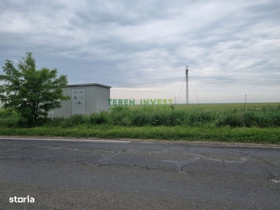 Teren 5.000 mp intravilan industrial - Frumusani DN 4