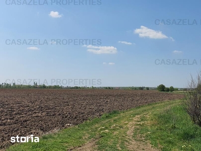 Teren intravilan 8000 mp Darza (cale ferata ) jud.Dambovita