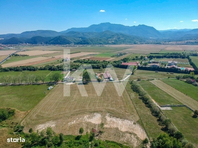 Teren intravilan, plat – 31.379 mp, Rasnov – zona Panicel