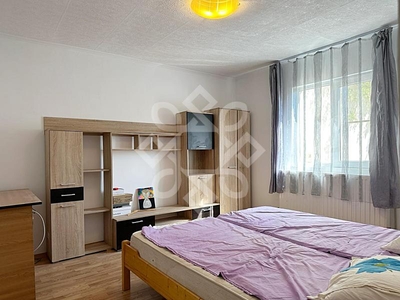 Apartament cu 1 camera de vanzare in zona Decebal Oradea