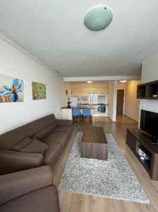 De inchiriat Apartament 3 camere, zona Cetate (Lidl ) Bloc nou. Pret inchiriere: 350 Euro/luna.