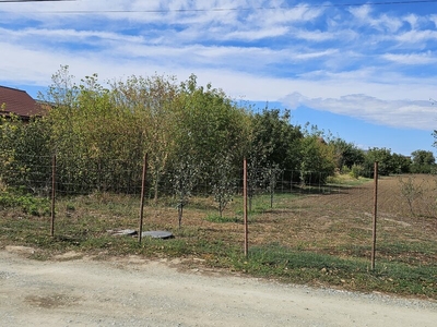 Teren Magurele, Teren Magurele pe strada Florilor langa padur