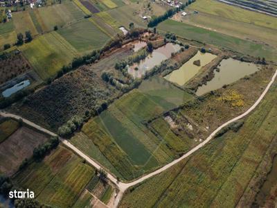 8ha extravilan | plantație cătină I 40.000 mp luciu apă stătătoare