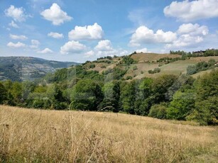 Casa de vacanta, 4 camere, teren 18000mp