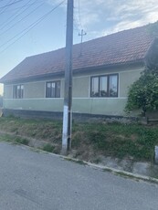 Casa și teren de vanzare