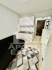 Apartament 1 camera , Pet friendly , zona Complexul studentesc