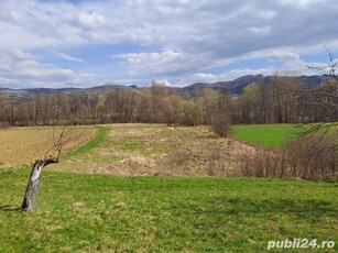 Teren deosebit , com. Cernesti - Fânețe , rîul Bloaja